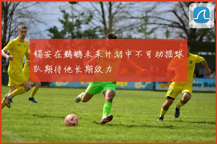 锡安在鹈鹕未来计划中不可动摇球队期待他长期效力