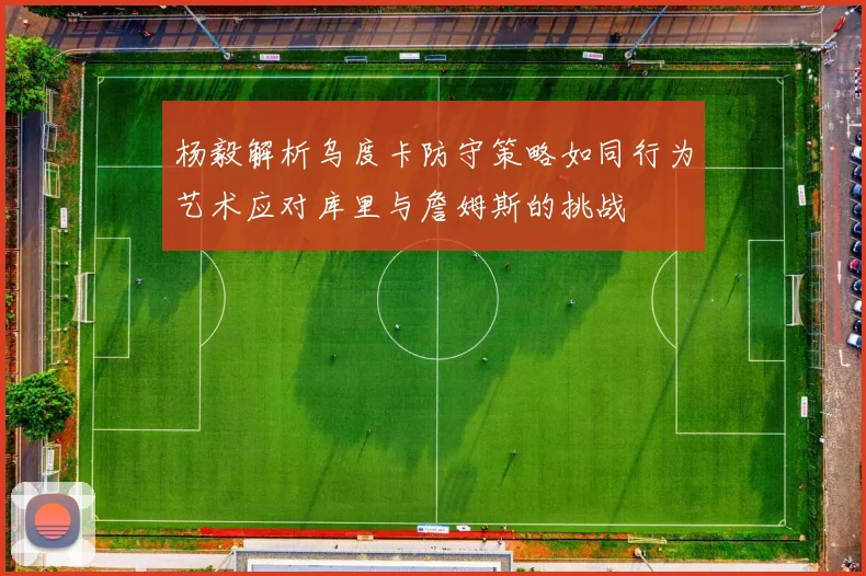 杨毅解析乌度卡防守策略如同行为艺术应对库里与詹姆斯的挑战